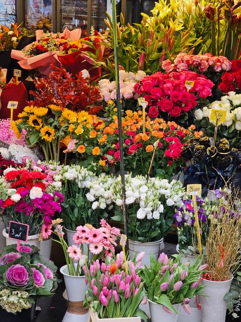 A vibrant display of fresh flowers arranged in buckets and wrapping, featuring a variety of blooms including pink and red carnations, yellow sunflowers, purple and white tulips, pink gerbera daisies, 