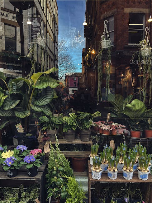 https://floristhook.co.uk/blog/london-versus-manchester-flower-delivery-price-comparison/